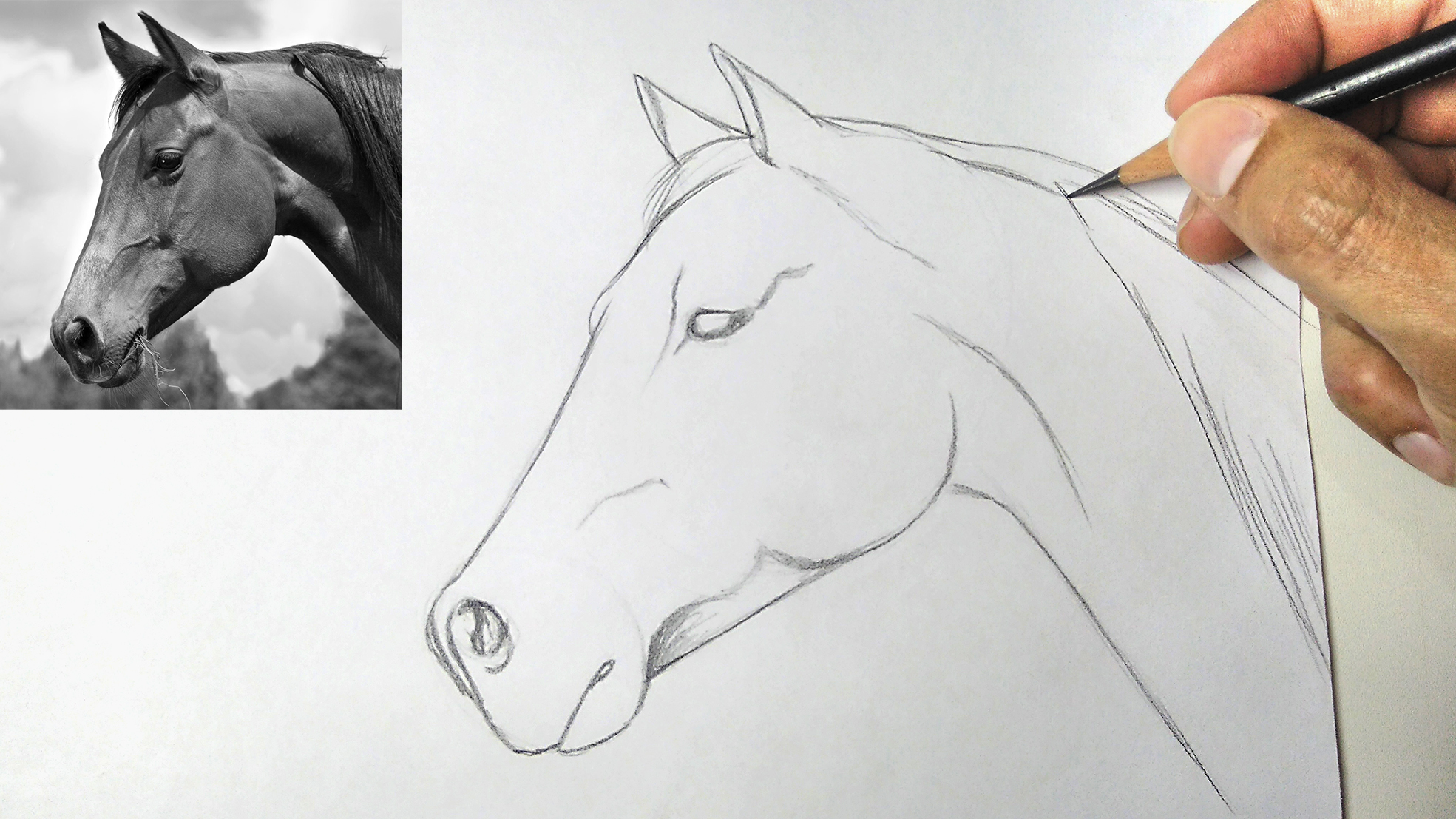 Desenho realista cavalo  Desenho realista, Desenho, Realista